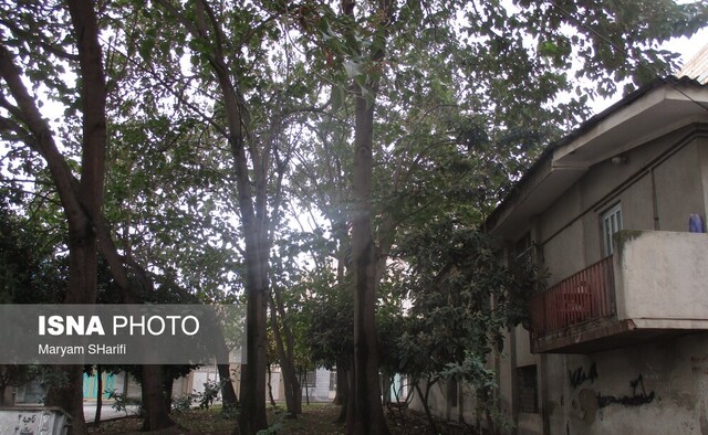 جلوههای چشم نواز شهرک امام خمینی (ره) گرگان