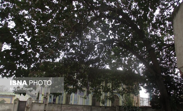 جلوههای چشم نواز شهرک امام خمینی (ره) گرگان