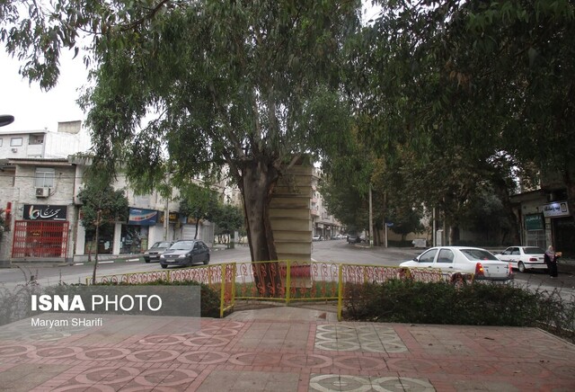 جلوههای چشم نواز شهرک امام خمینی (ره) گرگان