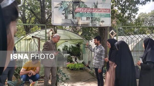 «مشق زندگی» زوج گلستانی با تبدیل فرصت تحصیلی به اشتغالزایی/ وقتی با درس خواندن زندگی میسازیم