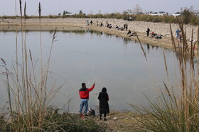 مسابقات ماهیگیری گرگان