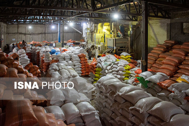 داستان تکراری دپوی برنج در شالیکوبیها/ کشاورزان منتظر معجزهای برای خرید