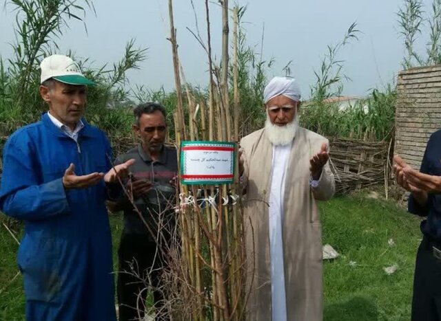 خیرات متفاوت شهروند گلستانی/ کاشت و اهدای هزاران اصل نهال به یاد شهدا