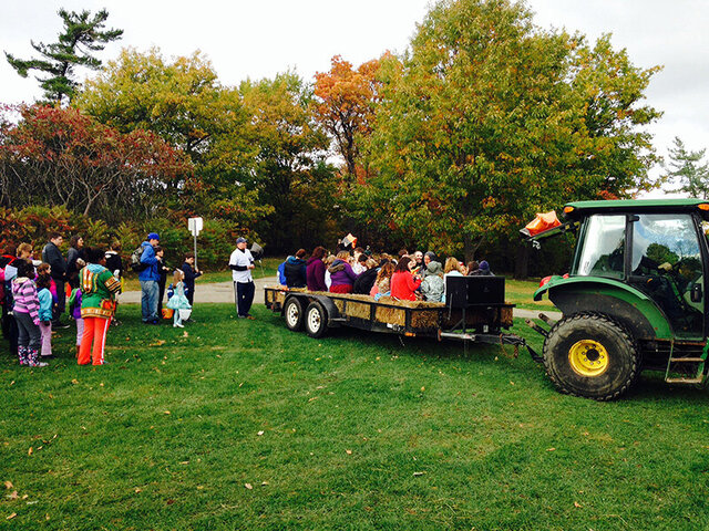 گردشگری کشاورزی، ایدهای خلاقانه برای افزایش درآمد روستاییان