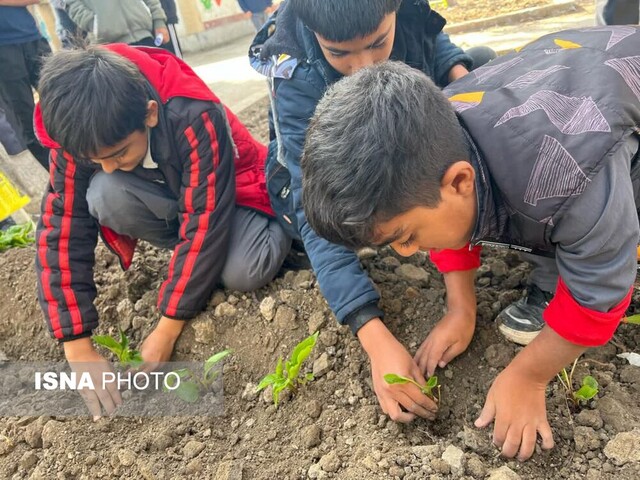 اجرای طرح پرورش گیاهان دارویی در مدارس گرگان