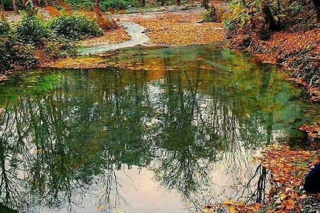 «چشمه لال» تجربه سفری بینظیر در سکوت محض طبیعت