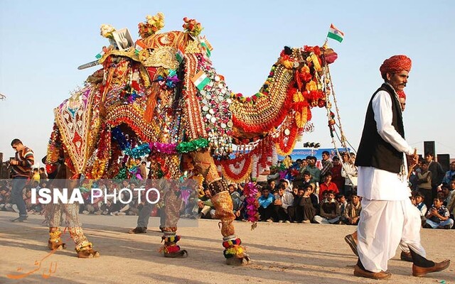برگزاری سومین جشنواره ملی زیبایی شتر در انبارالوم گلستان