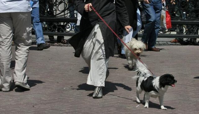 تاثیرات مخرب سگگردانی بر آینده فرزندان