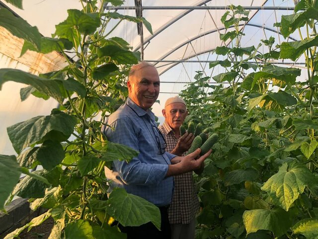 کسب درآمد حداکثری در فضای حداقلی با گلخانههای کوچک مقیاس