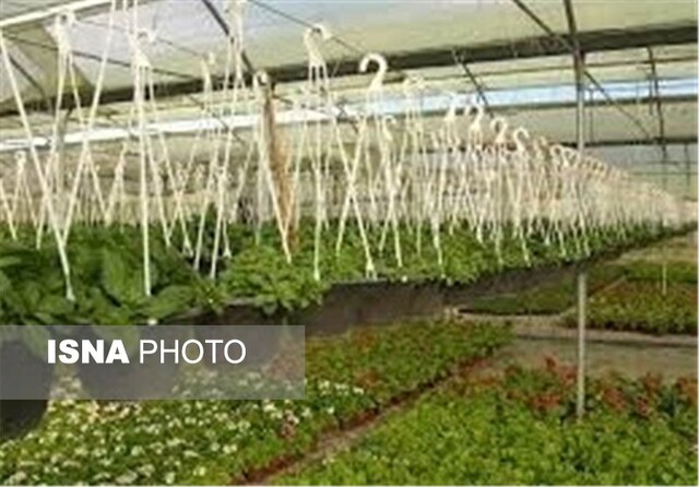 کسب درآمد حداکثری در فضای حداقلی با گلخانههای کوچک مقیاس