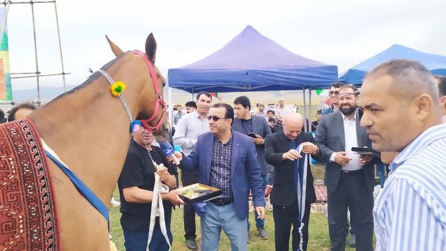 برگزاری جشنواره فرهنگی، ورزشی، زیبایی اسب اصیل ترکمن در مراتع زیبایی صوفیان کلاله