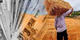پرداخت بیش از ۷۵ درصد مطالبات گندمکاران سیستان و بلوچستان
