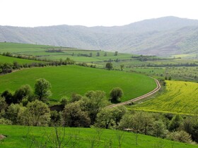 ۱۹ هکتار از مراتع گلستان به منابع طبیعی بازگشت