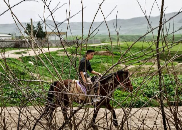 سرزمین اسبهای زیبای ترکمن پرچمدار جذب گردشگر/ بومگردیهای کلاله کولاک کردند