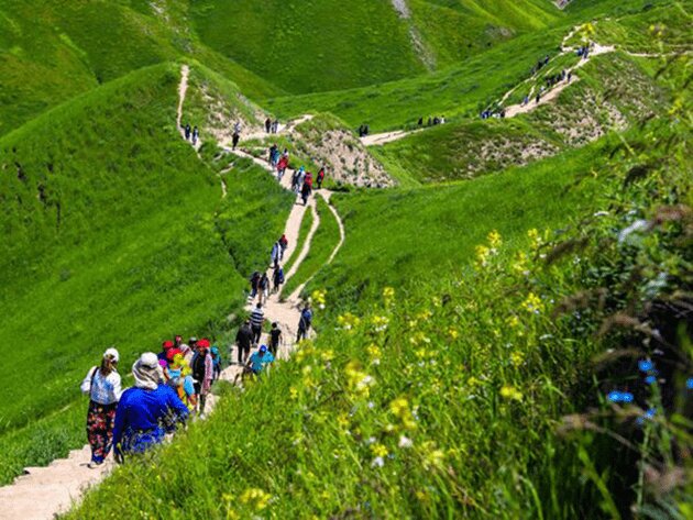 سرزمین اسب‌های زیبای ترکمن پرچمدار جذب گردشگر/ بومگردی‌های کلاله کولاک کردند