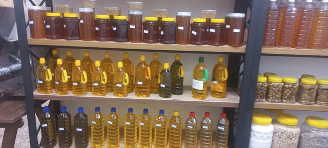 کارآفرینی با چاشنی دانههای روغنی/ از وام ۱۰۰ میلیونی تا برند اختصاصی