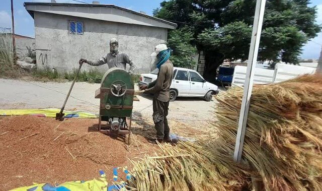 «زابلی محله»؛ روستایی که غبار بیکاری را جارو میکند