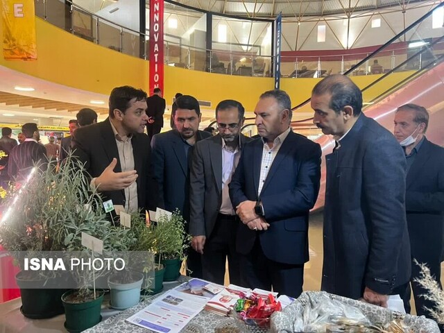 تاکید معاون استاندار بر حمایت از دانشآموزان خلاق/ تسهیلات دغدغه اصلی نوآوران و فناوران