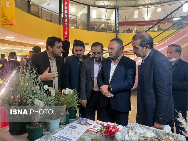 رفع موانع تجاریسازی و کمبود زیرساخت ها مهمترین دغدغه پژوهشگران گلستانی