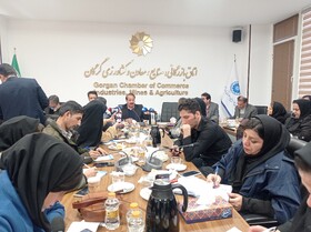 رشد ۴۷ درصدی صادرات گلستان