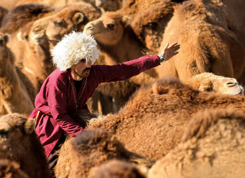مراوه تپه؛ متفاوتترین شهر شمالی ایران