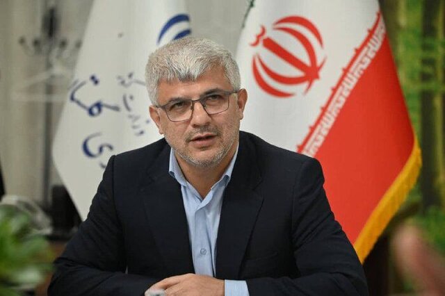 لزوم بازنگری در قوانین سرمایه‌گذاری و تفویض اختیار به استان‌ها
