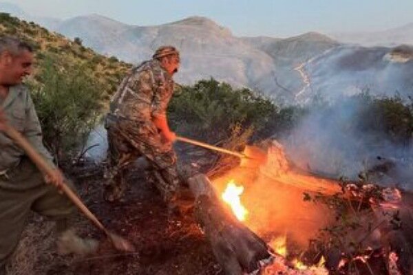 بی‌احتیاطی مسافران علت آتش‌سوزی در پارک ملی گلستان