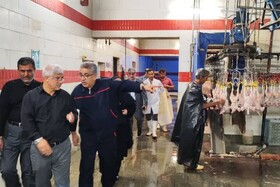 تأمین مرغ در گلستان بدون مشکل است