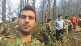 احکام قضایی بازدارندگی لازم را ندارد/ نیازمند مجازات‌های سخت‌گیرانه برای حفاظت از جنگل‌ها هستیم
