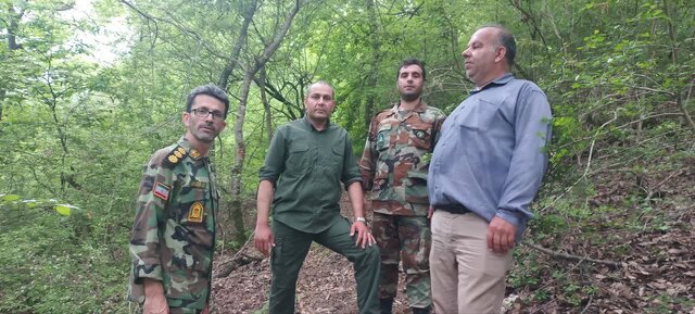 احکام قضایی بازدارندگی لازم را ندارد/ نیازمند مجازاتهای سختگیرانه برای حفاظت از جنگلها هستیم