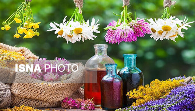 گیاهان دارویی گلستان تشنه سرمایه‌گذاری/زیرساخت‌ها لنگ می‌زنند