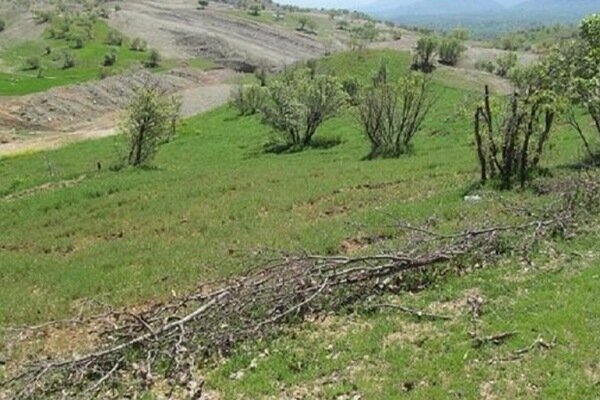 جلوگیری از زمین‌خواری ۱۵۰۰ میلیارد تومانی در گنبدکاووس