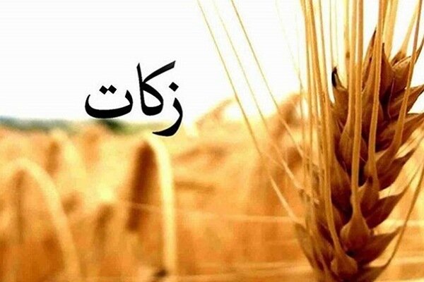 جمع‌آوری ۸۶ میلیارد تومان زکات از طریق شوراهای زکات گلستان