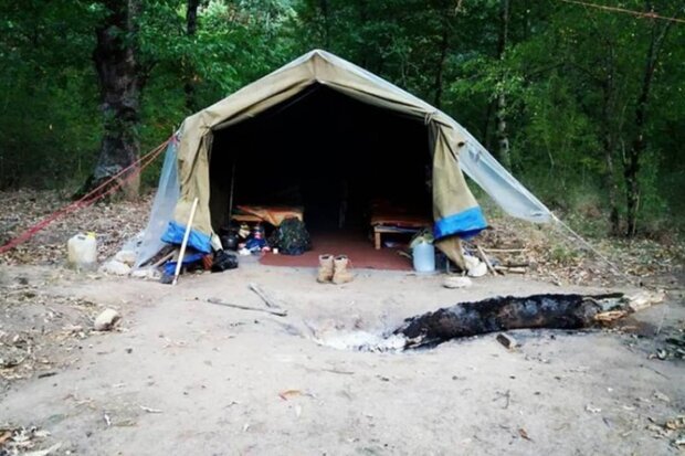 تراژدی گاوبانگی/ وقتی گلوله پاسخ نعره عاشقانه مرالها میشود