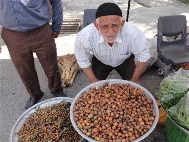 کندس؛ گنج طبیعت گلستان با خواصی فراتر از انتظار کندس؛ گنج طبیعت گلستان با خواصی فراتر از انتظار