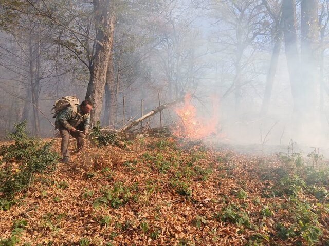 تداوم آتشسوزی در جنگلهای شرق گلستان/ کنترل میدانی ادامه دارد