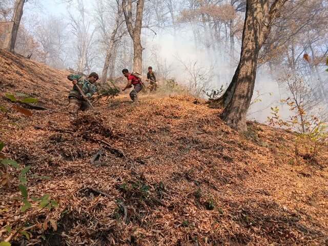 تداوم آتش‌سوزی در جنگل‌های شرق گلستان/ کنترل میدانی ادامه دارد