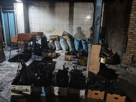 کشف و ضبط زغال قاچاق در ‌گنبدکاووس