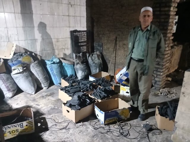 کشف و ضبط محموله ذغال گونه نادر، کمیاب و ممنوع القطع تاغ در شهرستان گنبدکاووس