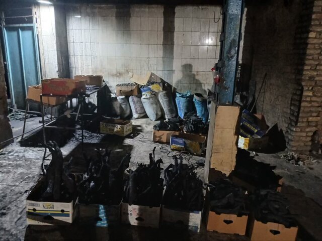 کشف و ضبط زغال قاچاق در ‌گنبدکاووس