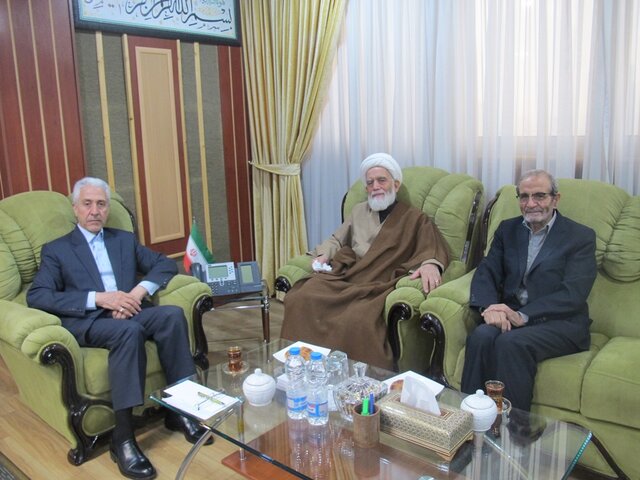 بازشناسی آثار ابن‌سینا با قدرت و همت بیشتری ادامه یابد