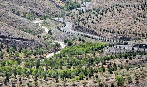 اجرای کمربند حفاظتی در عرصه‌های منابع طبیعی همدان