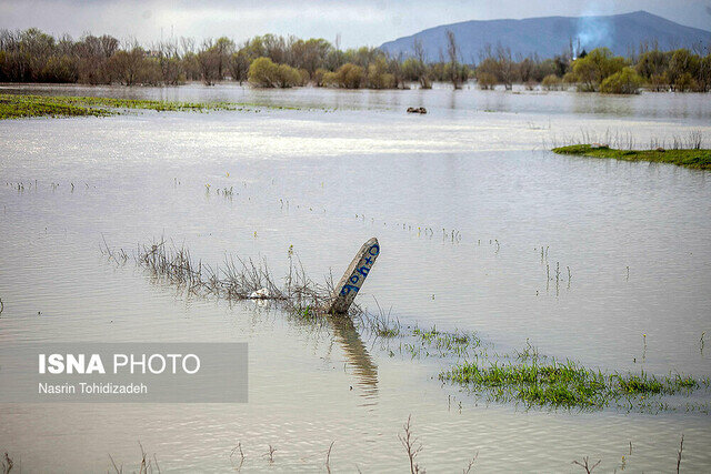 خسارت یک میلیارد و ۴۸۸ میلیونی سیلاب به بخش کشاورزی اسدآباد