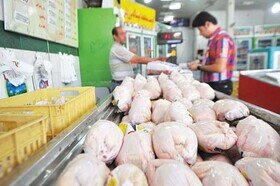تنظیم بازار مرغ بر عقربه گرانی