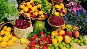 تولید سالیانه ۶۶ هزار تن محصولات باغی در اسدآباد