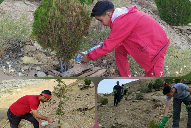 کوهنوردان ملایر برای جلوگیری از فرسایش خاک دست به کار شدند