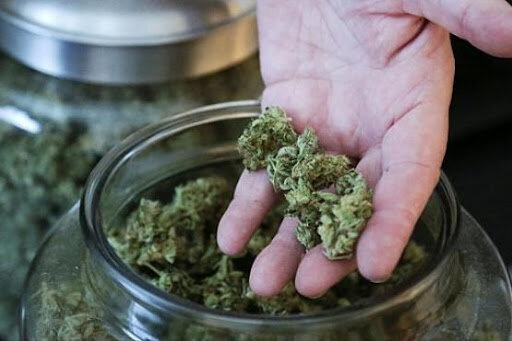 باند تهیه و توزیع موادمخدر «گل» در ملایر متلاشی شد