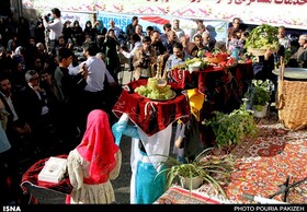 احتمال لغو جشنواره‌های «شیره‌پزی» و «آلو» در استان همدان