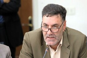 رزن ظرفیت‌های خوبی برای اجرای طرح توسعه مشاغل خانگی دارد
