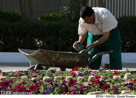 آماده سازی بجنورد برای نوروز با کاشت ۵۰۰ هزار گلدان گل